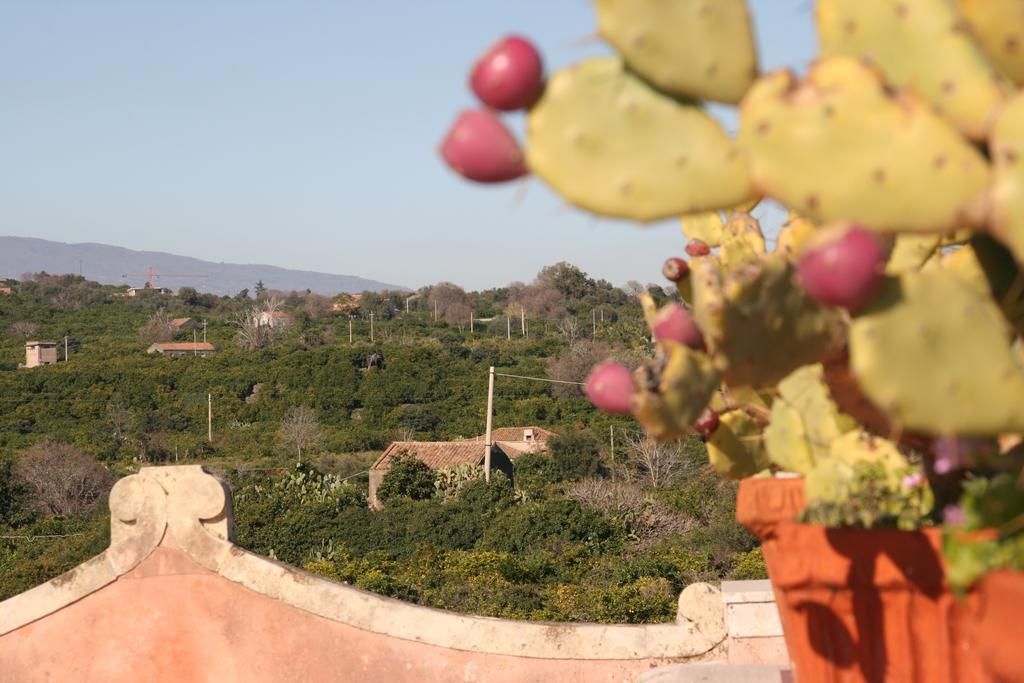 Villa Dei Leoni Santa Tecla Ngoại thất bức ảnh