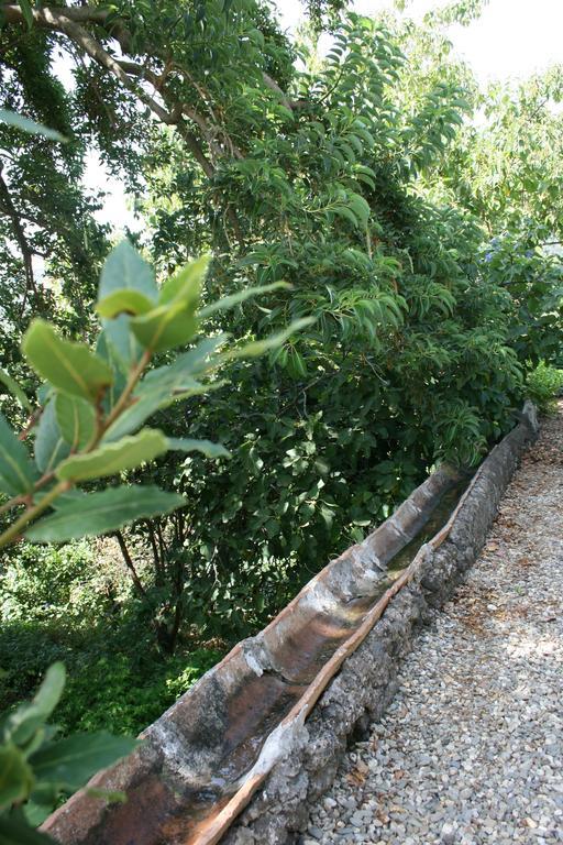 Villa Dei Leoni Santa Tecla Ngoại thất bức ảnh